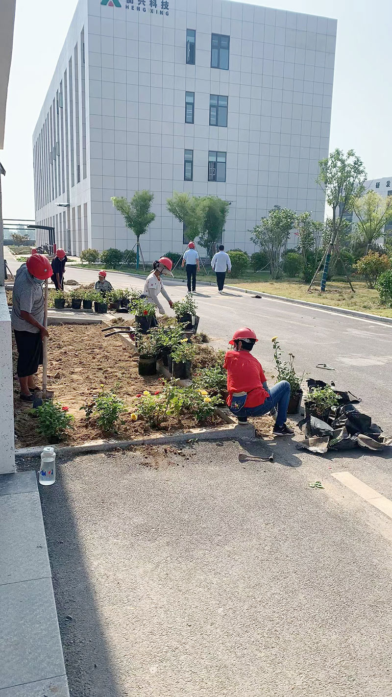 市政園林綠化施工